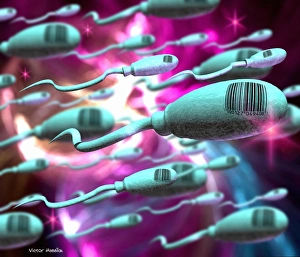 Drucke von Die genetische Veränderung des Menschen. Konzeptionelles Computerkunstwerk, das die genetische Veränderung von Menschen darstellt. Spermienzellen mit Barcodeetiketten sind zu sehen Bilder Datiert 2001 Juli: Gentische Ingenieurkunst des Menschen