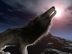 Prehistoric Mammal Drucke: Hyaenodon