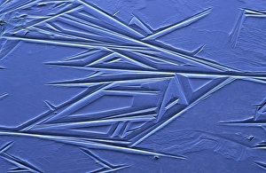 Ice Crystal Structure Drucke: Ice crystals on a puddle