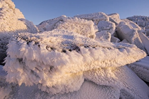 Drucke von Eisfedern. Diese Eisformungen auf Granitbrocken sind auch als Frostfedern bekannt Bilder Datiert 2006 April: Ice feathers