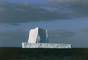 Iceberg