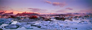 Jokulsarlon Iceland Drucke: Icebergs