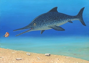 Prehistoric Sea Creature Drucke: Ichthyosaur and prey, artwork