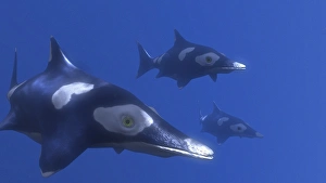 Prehistoric Sea Creature Drucke: Ichthyosaurus
