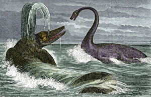 Extinct Sea Creatures Drucke: Ichthyosaurus and Plesiosaurus reptiles