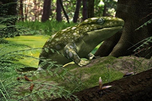 Devonian Period Drucke: Ichthyostega, artwork