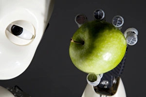 Drucke von Der iCub-Roboter hält eine Äpfel. Der iCub ist ein kleiner humanoider Roboter, der von dem Robotik-Konsortium des Robotcub-Netzwerks aus Wissenschaftlern europäischer Universitäten entwickelt wurde Bilder Datiert 2012 September: iCube-Roboter
