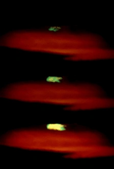 Light Refraction Science Drucke: Image of the green flash effect