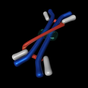 Immunoglobulin A, molekularer Modell