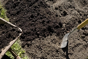 Organic Gardening Tips Drucke: Improving soil structure