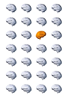 Computer Generated Brain Image Drucke: Individual brain