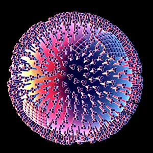 Flu-Virus, Computerkunstwerk