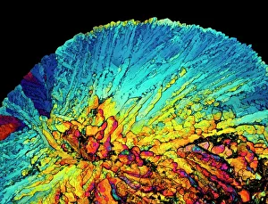 Polarisiertes Licht Drucke: Insulinkristalle, Lichtmikroskopie C017/8249