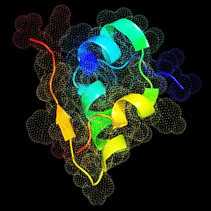 Blood Sugar Regulation Drucke: Insulin molecule