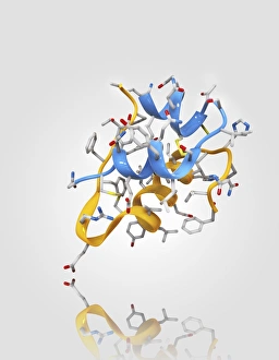 Blood Sugar Regulation Drucke: Insulin molecule C014 / 2121
