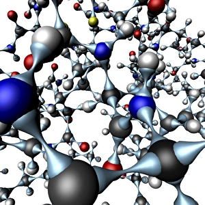 Pancreas Hormone Production Drucke: Insulin molecule, close-up view