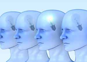Brain Function Illustration Drucke: Intelligence, conceptual artwork C013 / 4697