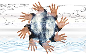 Identity Theft Prevention Drucke: Internet security