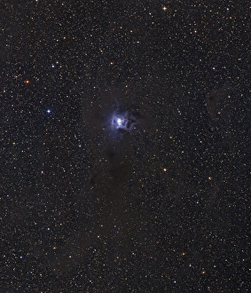 Science Space Images Drucke: Iris Nebula
