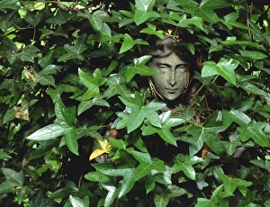 Outdoor Decoration Ideas Drucke: Ivy hiding a statue