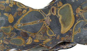Mineral Specimen Photography Drucke: Jasper