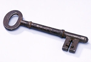 Entomology Images Drucke: Key