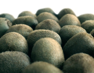 Kiwi Fruit Nutrition Drucke: Kiwi fruit