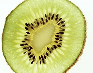 Kiwi Fruit Slice Drucke: Kiwi fruit slice