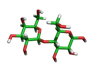 Milchmolekül