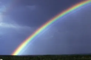 Landschaften Drucke: Regenbogen über Bäumen
