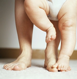 Drucke von MODELL FREIGEBEN, Lernen zu gehen, Mutter unterstützt ihren achtmonatigen Sohn beim Gehen lernen Bilder Datiert 2007 Mai: Lernen zu laufen