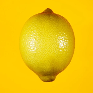 Organic Produce Images Drucke: Lemon