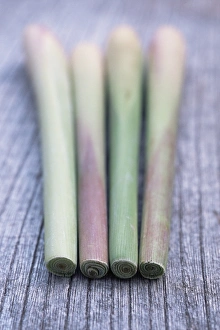 Herb Photography Drucke: Lemon grass
