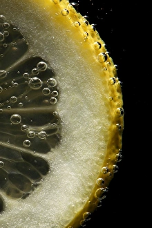 Lemon Slice Drucke: Lemon slice
