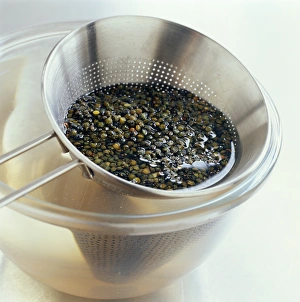 Edible Seeds Drucke: Lentils