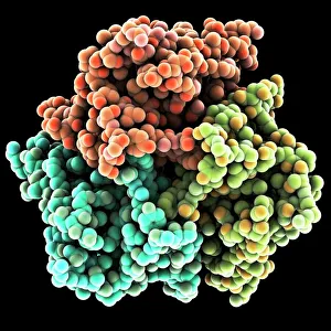 Bilder vom 7. März 2011: Leptinmolekül