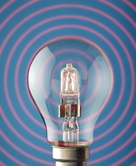 Light bulb