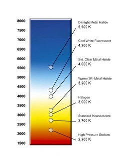 Drucke von Die Lichtbulbenfarbtemperaturspektrum. Dieses Spektrum zeigt die Farbnuancen der Gesamthelligkeit von Licht aus Leuchtbülböcken in Bezug auf einen berechneten Charakteristiker namens Farbtemperatur Bilder Datiert 2012 Februar: Farbtemperatur des Lichtbulbspektrums
