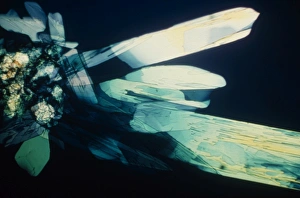 Light Microscopy Images Drucke: Light micrograph of methionine crystals