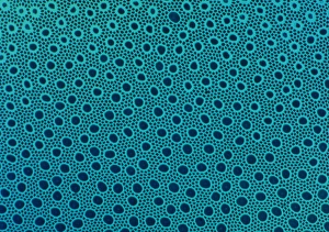 Rod And Cone Cells Drucke: Light micrograph of monkey retina, high power