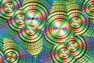 Polarisiertes Licht Drucke: Bild des Lichtmikroskops von Vitamin-C-Kristallen