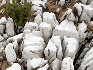 Limestone Pavement Drucke: Limestone pavement C016 / 5824