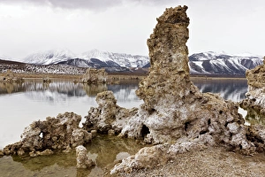 Mono Lake California Drucke: Limestone pinnacles C014 / 1589