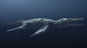 Prehistoric Sea Creature Drucke: Liopleurodon