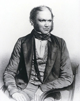 Druck von Charles Darwin im Alter von vierzig Jahren