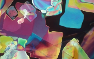 Polarised Light Microscopy Drucke: LM of silver nitrate crystals