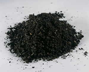 Earth Science Images Drucke: Loam soil