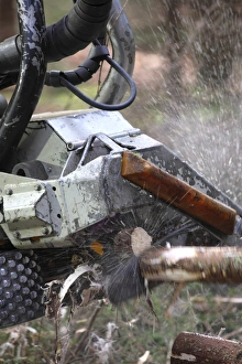 Logging Industry Drucke: Logging machine