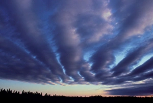Sunset Cloud Formations Drucke: Long streaks of stratocumulus cloud at sunset