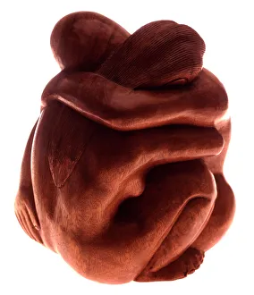 Bildhauerei Drucke: Lovers